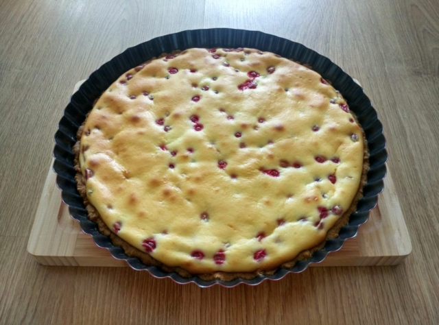 Rybízový cheesecake