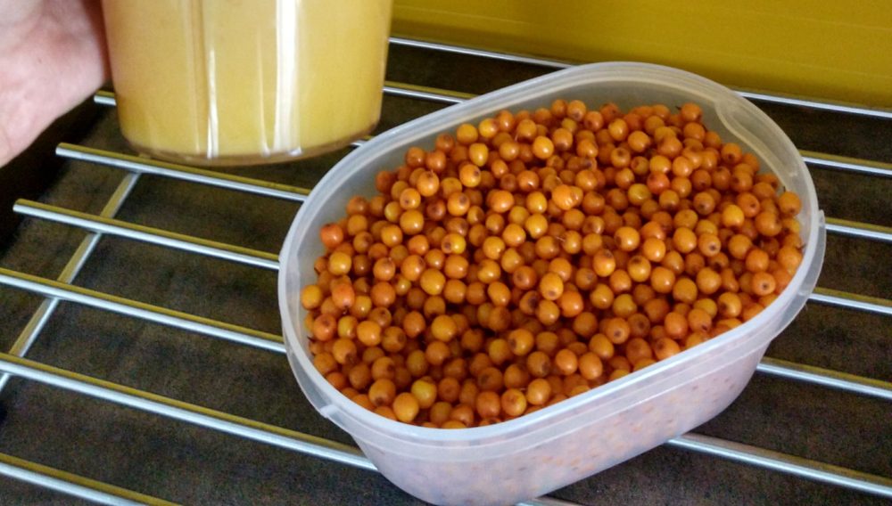 Rakytníková limonáda